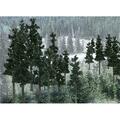 Woodland Scenics 6-8 in. Conifer - Pack of 12 WOO1582